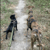 Images de profil de Lorène - Blooming Pets - Petsitting et garde d'animaux à domicile