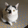 Images de profil de Lorène - Blooming Pets - Petsitting et garde d'animaux à domicile