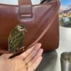 Images de profil de Manon - Blooming Pets - Petsitting et garde d'animaux à domicile
