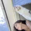 Images de profil de Manon - Blooming Pets - Petsitting et garde d'animaux à domicile