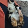 Images de profil de Tasnim - Blooming Pets - Petsitting et garde d'animaux à domicile