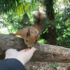 Images de profil de Océane - Blooming Pets - Petsitting et garde d'animaux à domicile