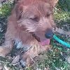 Images de profil de Solene - Blooming Pets - Petsitting et garde d'animaux à domicile