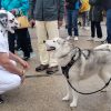 Images de profil de Valérie - Blooming Pets - Petsitting et garde d'animaux à domicile