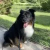 Images de profil de Constance - Blooming Pets - Petsitting et garde d'animaux à domicile