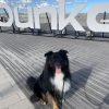 Images de profil de Constance - Blooming Pets - Petsitting et garde d'animaux à domicile