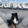 Images de profil de Constance - Blooming Pets - Petsitting et garde d'animaux à domicile