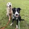 Images de profil de Constance - Blooming Pets - Petsitting et garde d'animaux à domicile