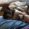 Images de profil de Gaelle - Blooming Pets - Petsitting et garde d'animaux à domicile