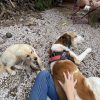 Images de profil de CANDICE - Blooming Pets - Petsitting et garde d'animaux à domicile