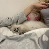 Images de profil de CANDICE - Blooming Pets - Petsitting et garde d'animaux à domicile