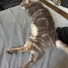 Images de profil de louline - Blooming Pets - Petsitting et garde d'animaux à domicile