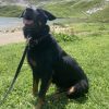 Images de profil de louline - Blooming Pets - Petsitting et garde d'animaux à domicile