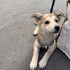 Images de profil de louline - Blooming Pets - Petsitting et garde d'animaux à domicile
