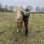 Huit Carats   Origine Non Constatée (ONC) Femelle - Garde d'animaux à domicile