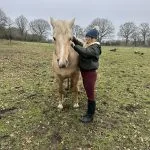 Huit Carats Huit Carats Origine Non Constatée (ONC) Femelle - Garde d'animaux à domicile