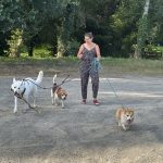 Image de profil de Charlotte - Blooming Pets - Petsitting et garde d'animaux à domicile