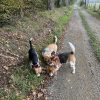 Images de profil de Charlotte - Blooming Pets - Petsitting et garde d'animaux à domicile