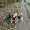 Images de profil de Charlotte - Blooming Pets - Petsitting et garde d'animaux Ă domicile