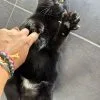 Images de profil de Charlotte - Blooming Pets - Petsitting et garde d'animaux Ă domicile