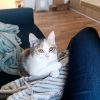 Images de profil de SARAH - Blooming Pets - Petsitting et garde d'animaux à domicile
