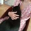 Images de profil de SARAH - Blooming Pets - Petsitting et garde d'animaux à domicile