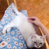 Images de profil de SARAH - Blooming Pets - Petsitting et garde d'animaux à domicile