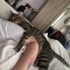 Images de profil de Léa - Blooming Pets - Petsitting et garde d'animaux à domicile