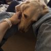 Images de profil de Charlotte - Blooming Pets - Petsitting et garde d'animaux à domicile