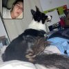 Images de profil de Charlotte - Blooming Pets - Petsitting et garde d'animaux à domicile
