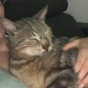 Images de profil de Berengere - Blooming Pets - Petsitting et garde d'animaux à domicile