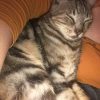 Images de profil de Berengere - Blooming Pets - Petsitting et garde d'animaux à domicile