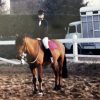 Images de profil de Ophélie - Blooming Pets - Petsitting et garde d'animaux à domicile