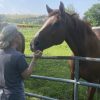Images de profil de Ophélie - Blooming Pets - Petsitting et garde d'animaux à domicile