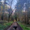 Images de profil de Coline - Blooming Pets - Petsitting et garde d'animaux à domicile