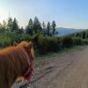 Images de profil de Coline - Blooming Pets - Petsitting et garde d'animaux à domicile