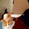 Images de profil de Kévin - Blooming Pets - Petsitting et garde d'animaux à domicile