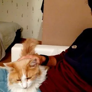 Images de profil de Kévin - Blooming Pets - Petsitting et garde d'animaux à domicile