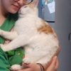Images de profil de Fanette - Blooming Pets - Petsitting et garde d'animaux à domicile