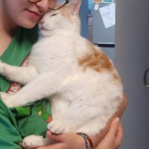 Images de profil de Fanette - Blooming Pets - Petsitting et garde d'animaux Ă domicile
