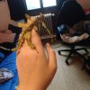 Images de profil de Fanette - Blooming Pets - Petsitting et garde d'animaux à domicile