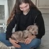 Images de profil de Clemence - Blooming Pets - Petsitting et garde d'animaux à domicile