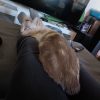 Images de profil de Marie-Victoire - Blooming Pets - Petsitting et garde d'animaux à domicile