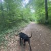 Images de profil de Emma-lee - Blooming Pets - Petsitting et garde d'animaux à domicile