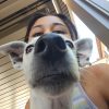 Images de profil de Jade - Blooming Pets - Petsitting et garde d'animaux à domicile
