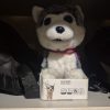 Images de profil de Amandine - Blooming Pets - Petsitting et garde d'animaux à domicile