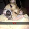 Images de profil de Sophie - Blooming Pets - Petsitting et garde d'animaux à domicile