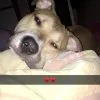 Images de profil de Sophie - Blooming Pets - Petsitting et garde d'animaux à domicile