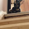 Images de profil de Élisée - Blooming Pets - Petsitting et garde d'animaux à domicile