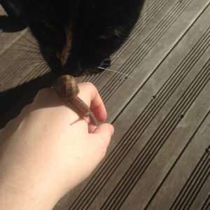 Images de profil de Méline - Blooming Pets - Petsitting et garde d'animaux à domicile
